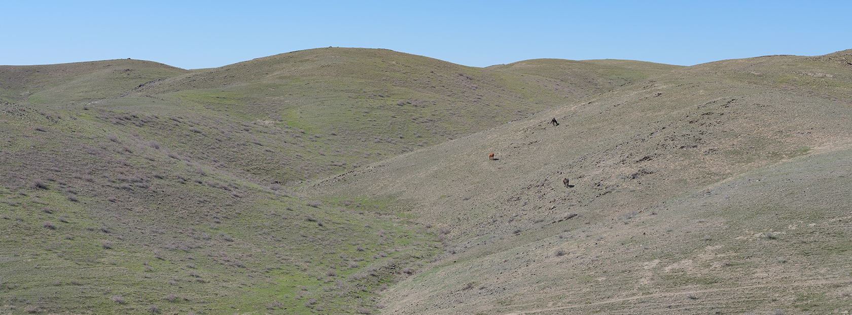 Тамгалы (Танбалы), image of landscape/habitat.