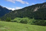 Кашикли, image of landscape/habitat.