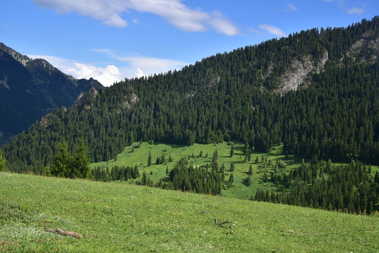 Кашикли, image of landscape/habitat.