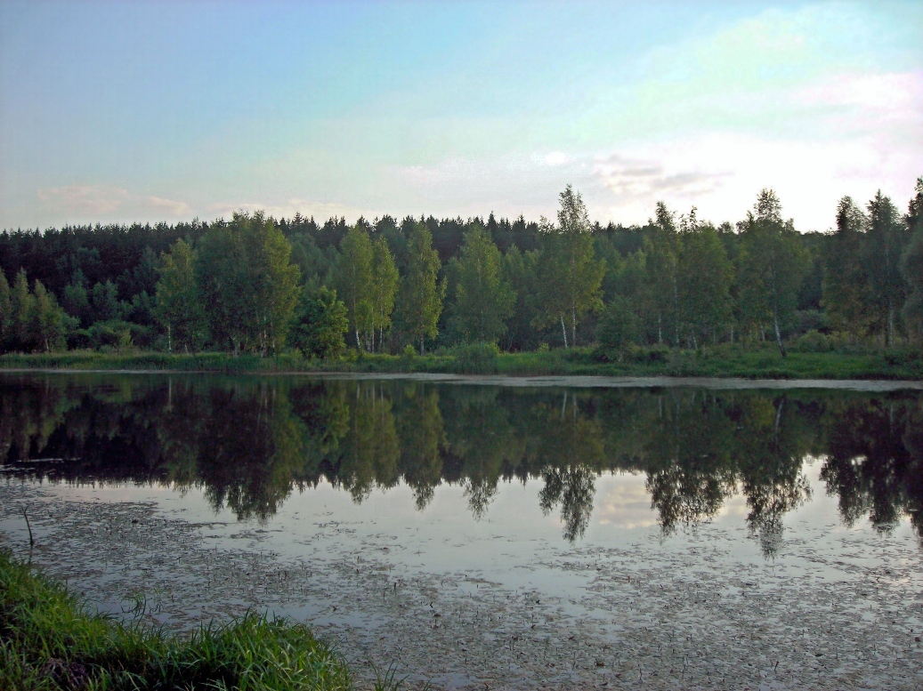 Окрестности города Одинцово, image of landscape/habitat.