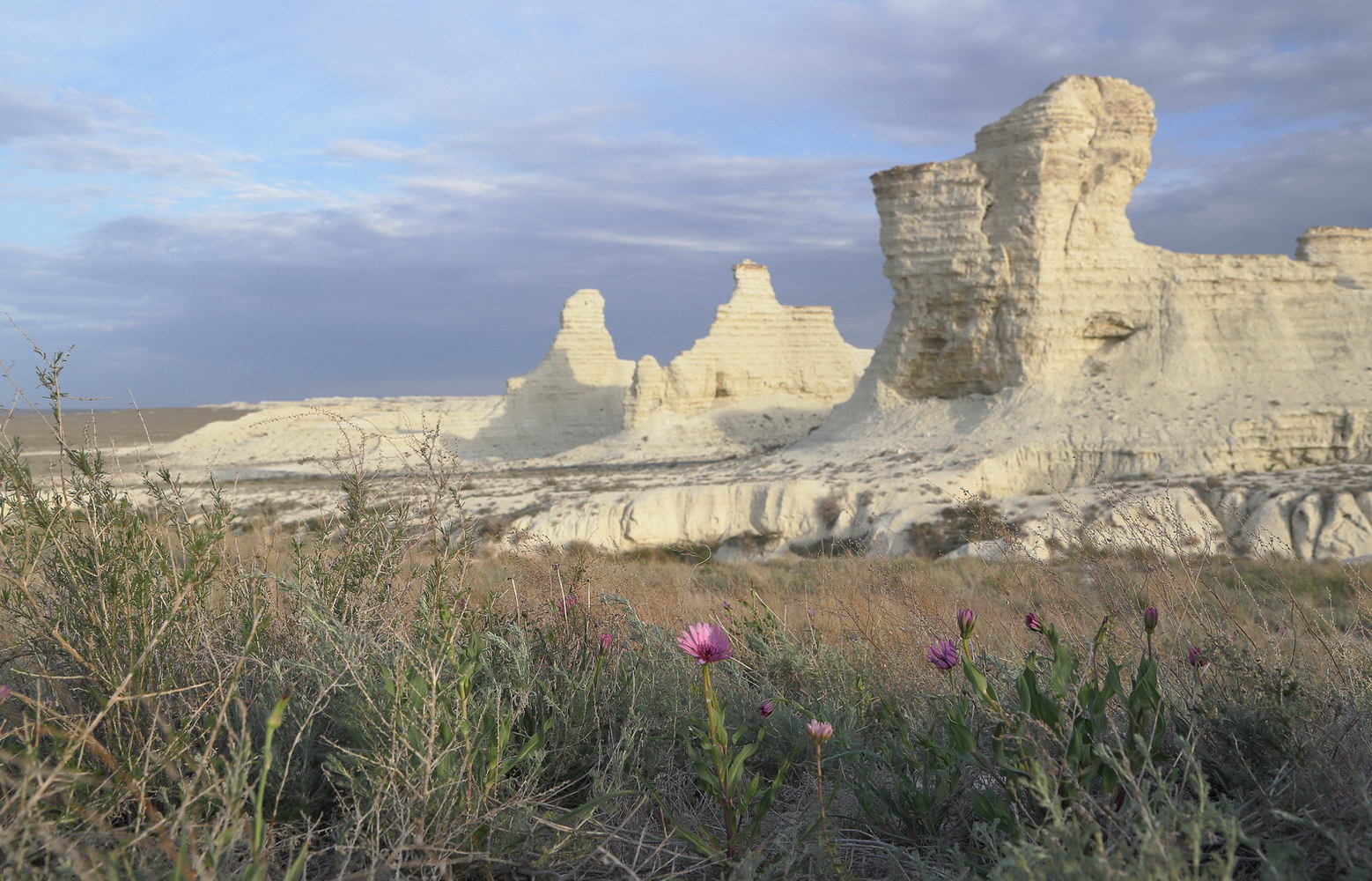 Кряж Аккерегешин, image of landscape/habitat.