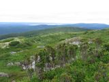 Колвицкие Тундры, image of landscape/habitat.