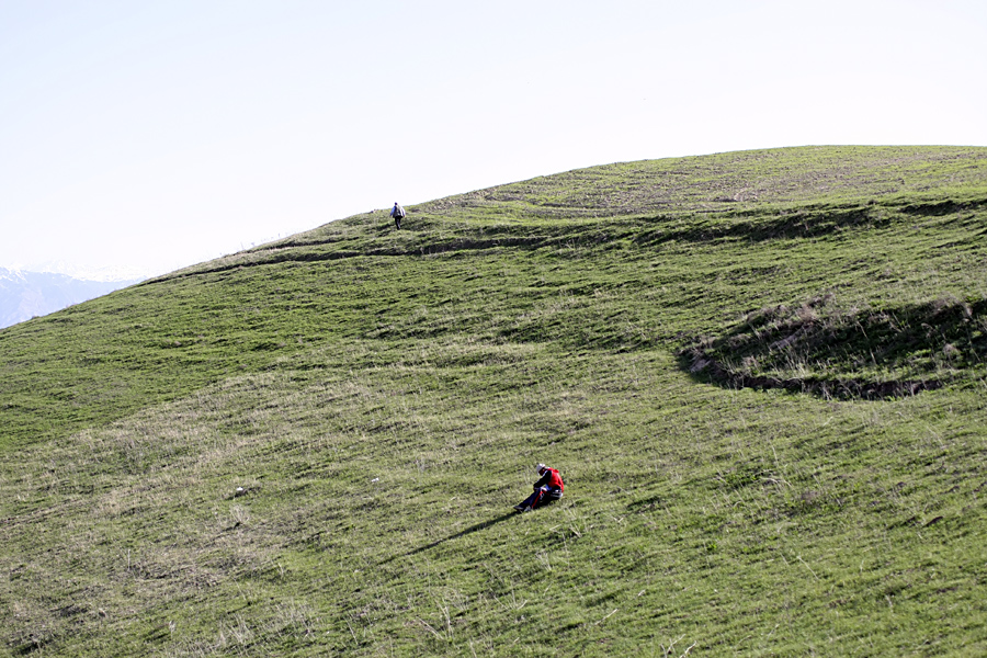 Горы Рангон, image of landscape/habitat.