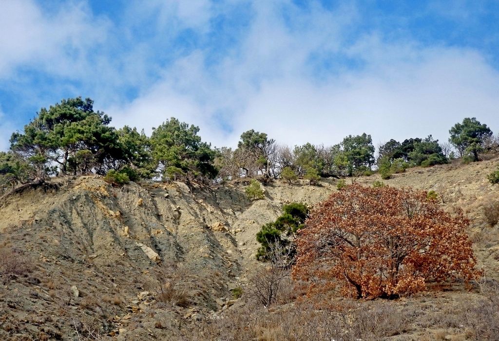 Гора Колдун, image of landscape/habitat.