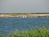 Image of landscape