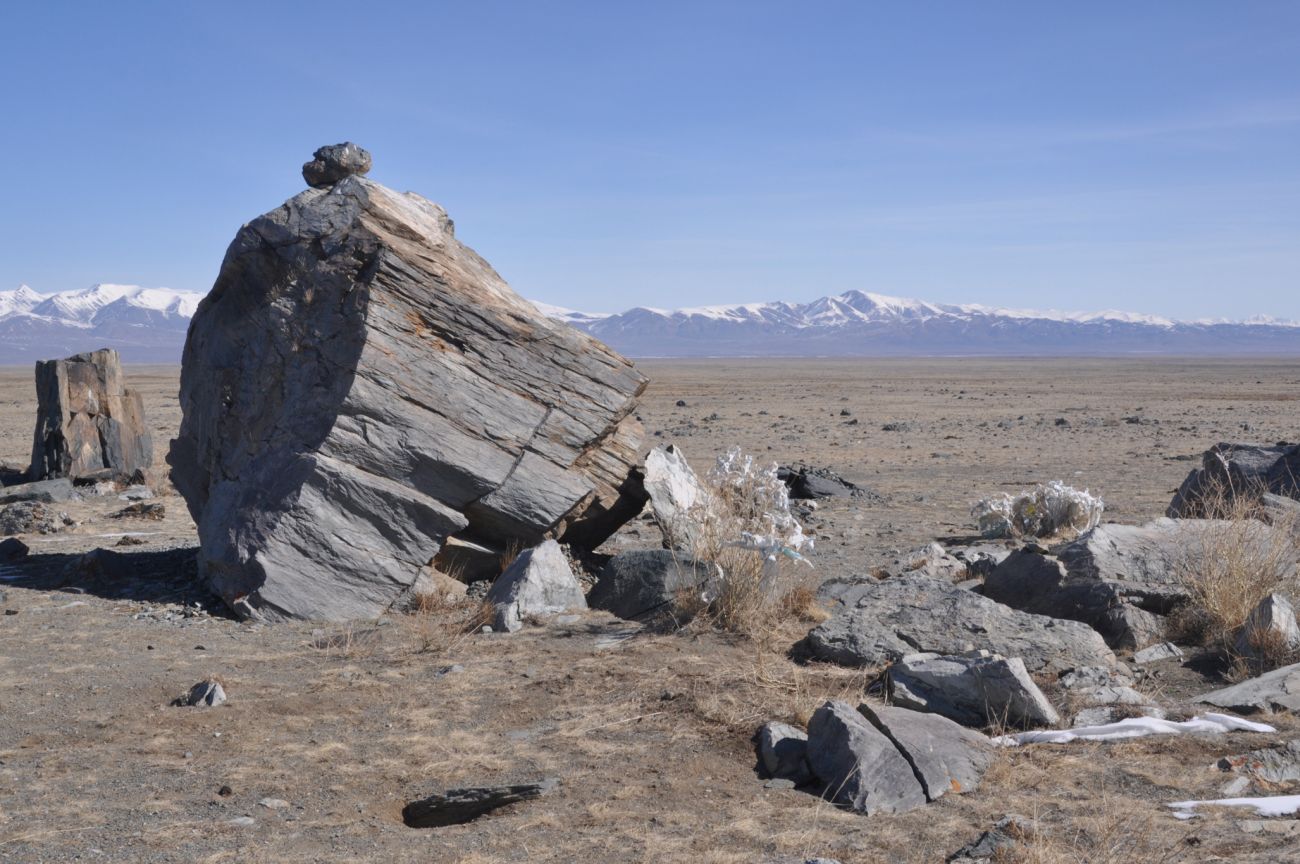 Тархатинские мегалиты, image of landscape/habitat.