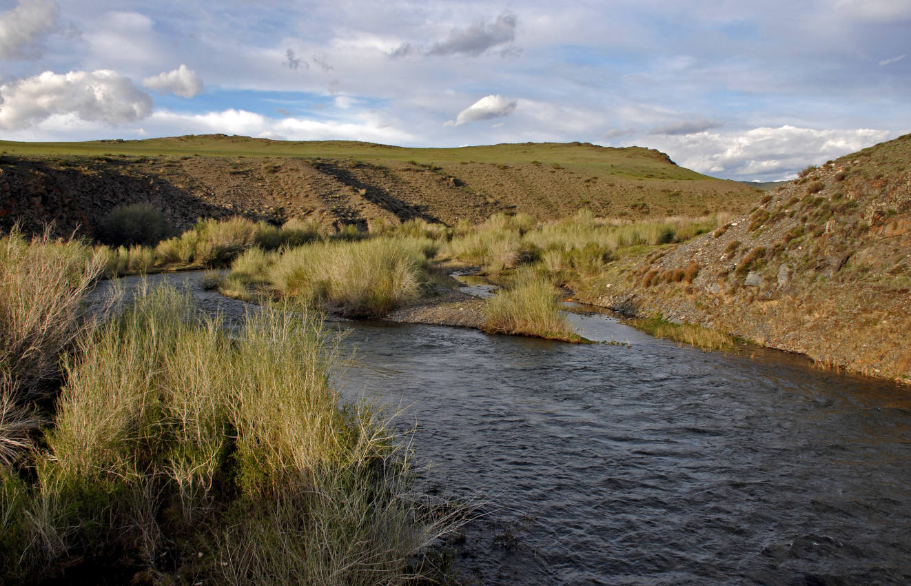 Долина реки Бар-Бургазы, image of landscape/habitat.