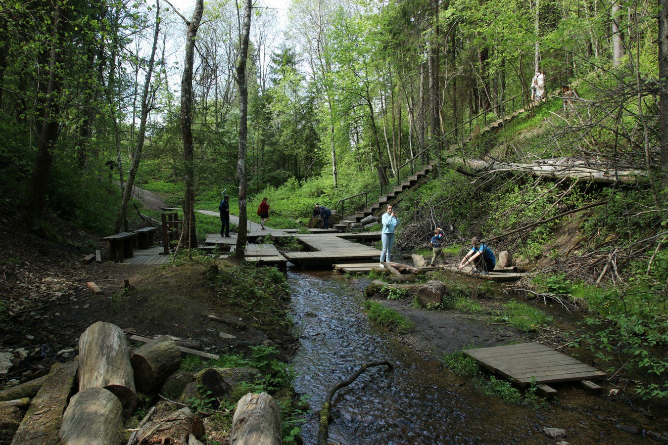 Лопухинка, image of landscape/habitat.