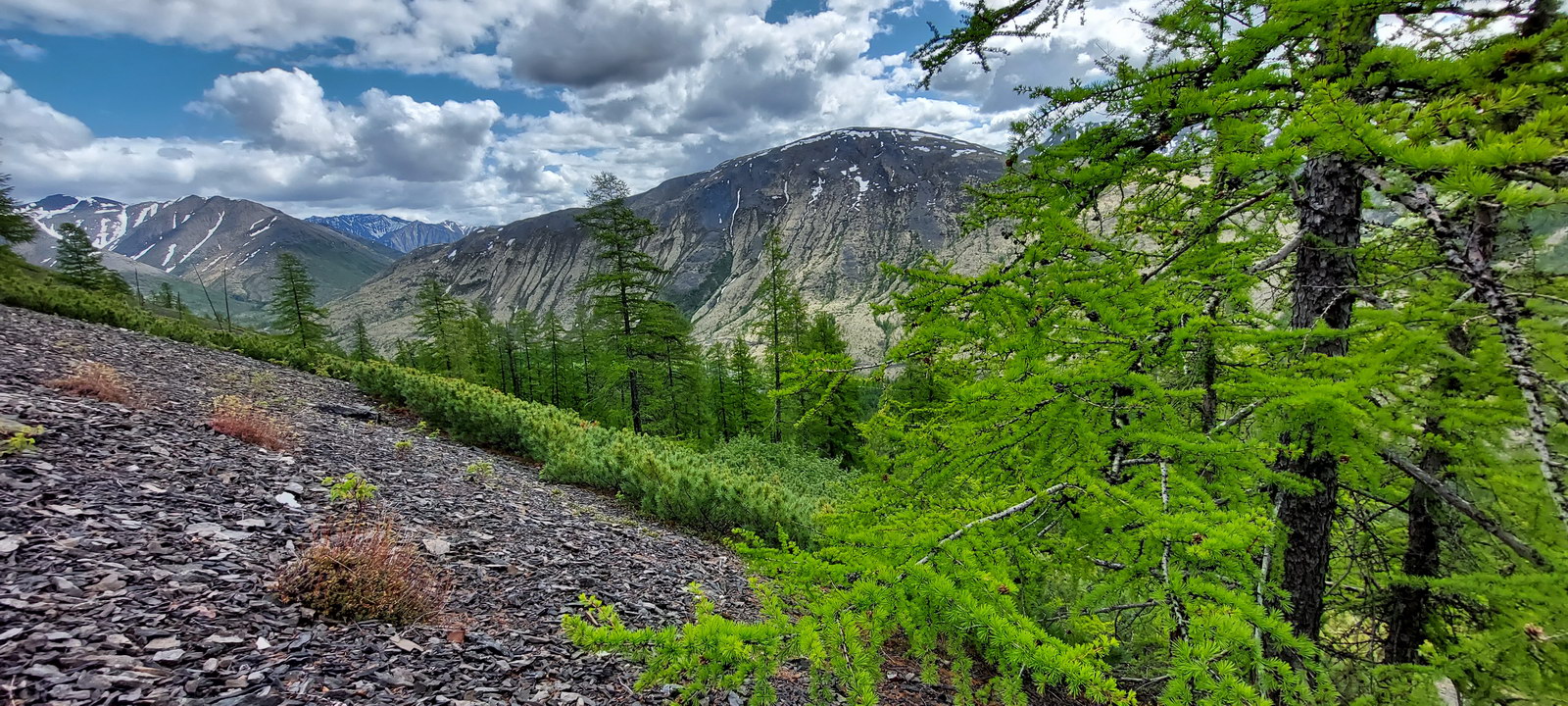 Сунтар-Хаята, image of landscape/habitat.