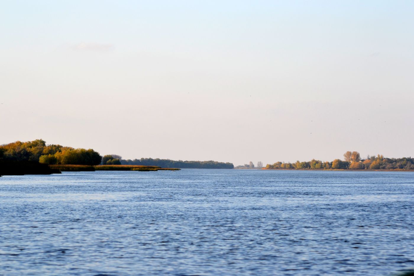 Дельта (средняя зона), image of landscape/habitat.