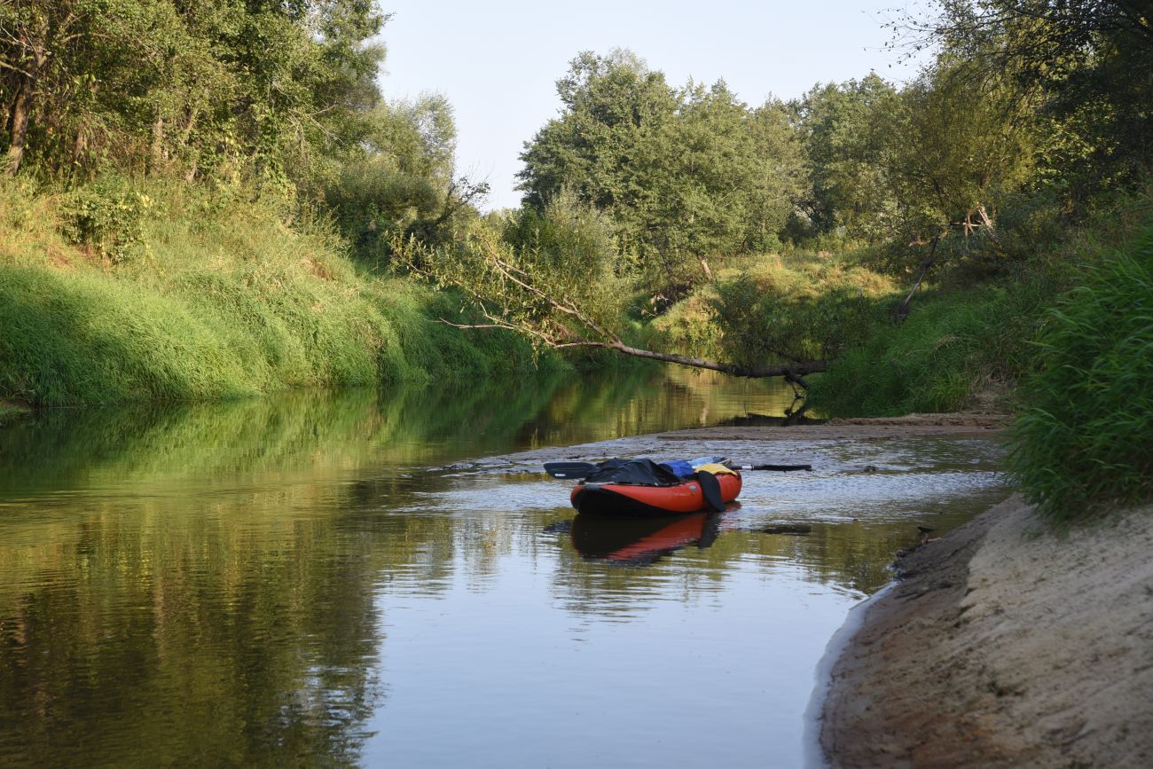 Устье ручья Черебеть, image of landscape/habitat.