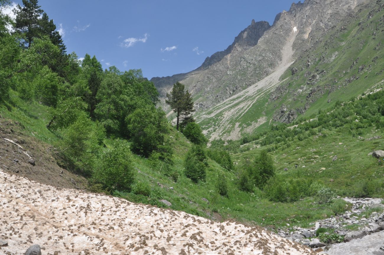 Долина реки Терскол, image of landscape/habitat.