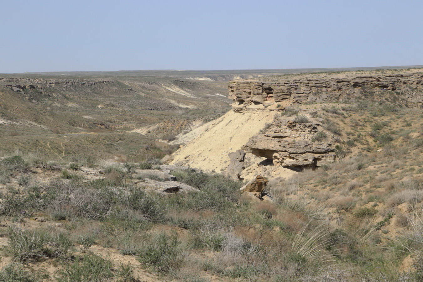 Западный чинк плато Устюрт, image of landscape/habitat.