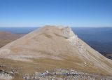Image of landscape