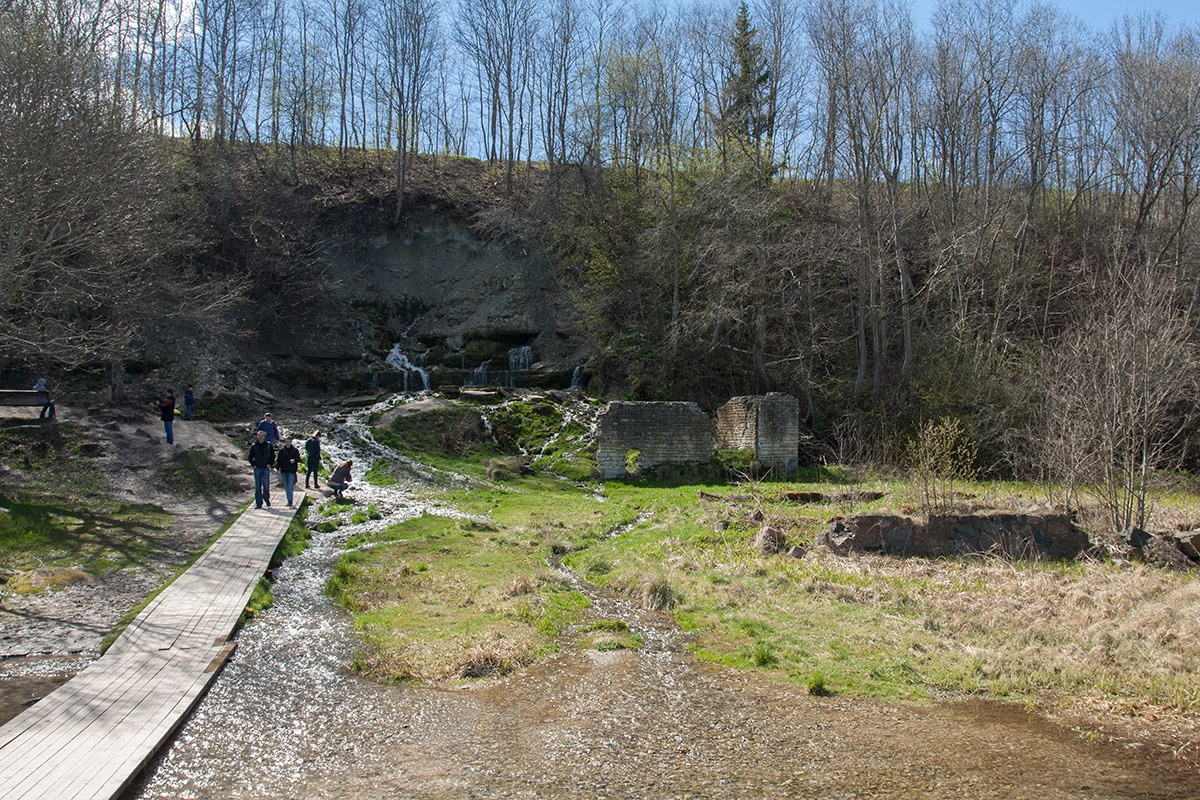 Изборско-Мальская долина, image of landscape/habitat.