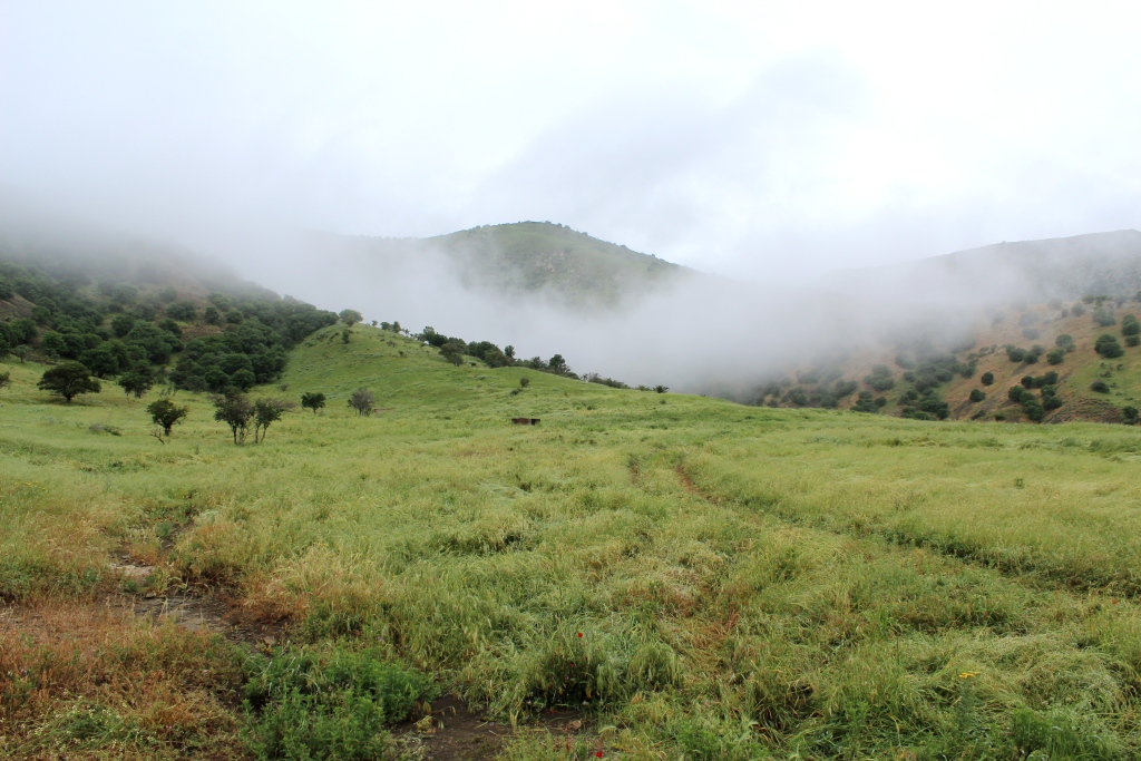 Гуланлы, image of landscape/habitat.