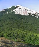Image of landscape