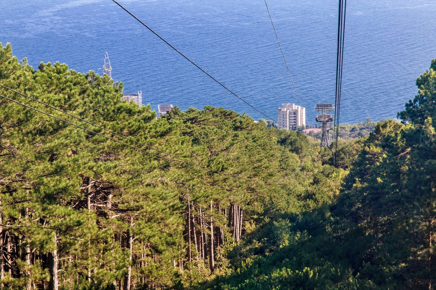 Ай-Петринская яйла, image of landscape/habitat.