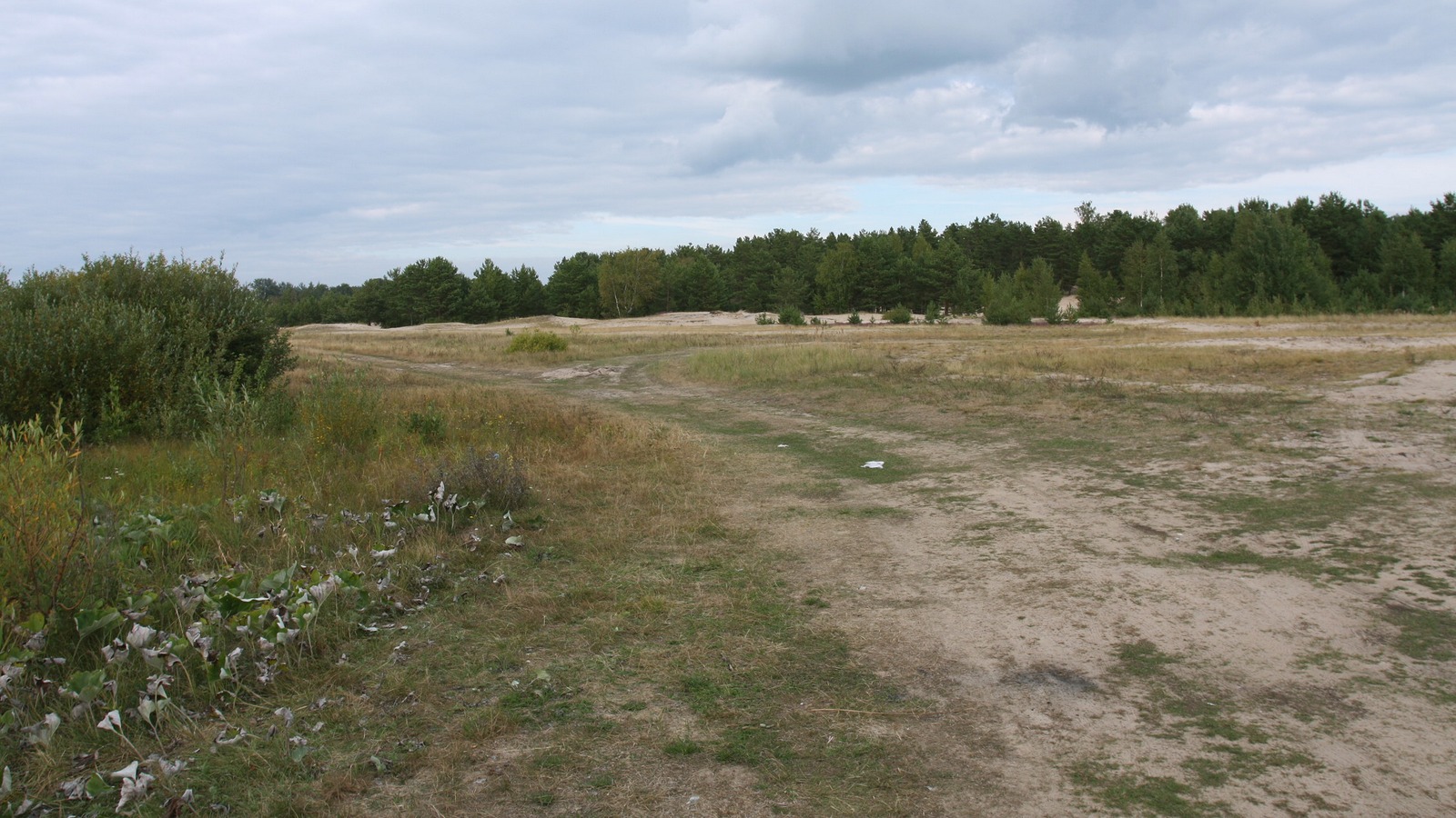 Спицино, image of landscape/habitat.