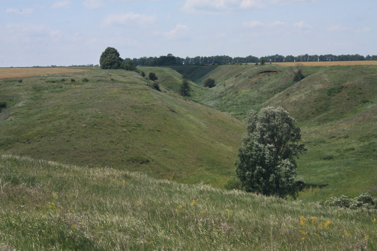 Острасьев Яр, изображение ландшафта.