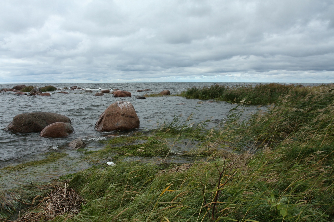 Мыс Дубовский, image of landscape/habitat.