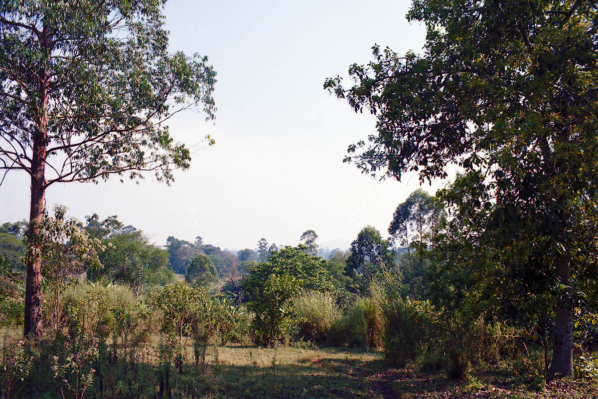 Кибале, изображение ландшафта.