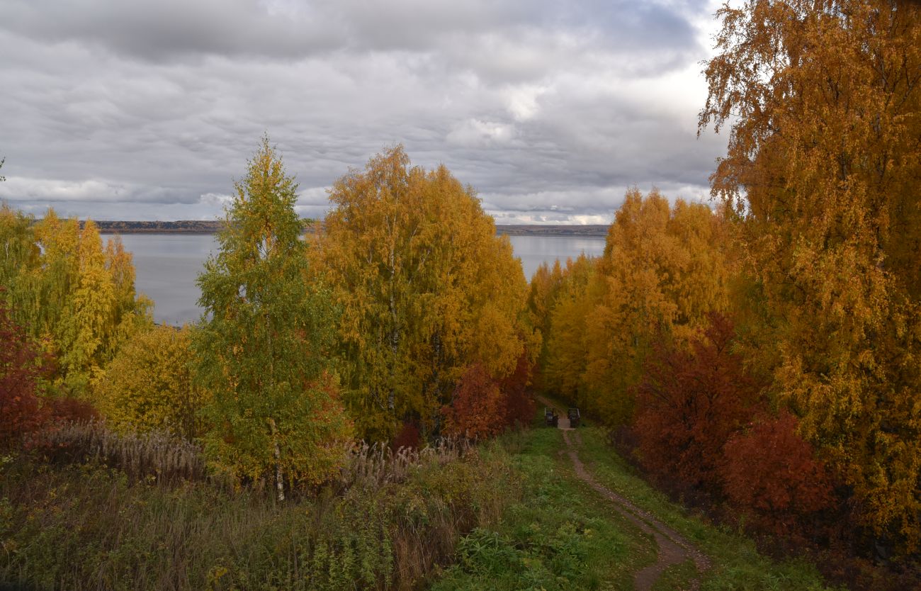 Холм Балчуг, image of landscape/habitat.