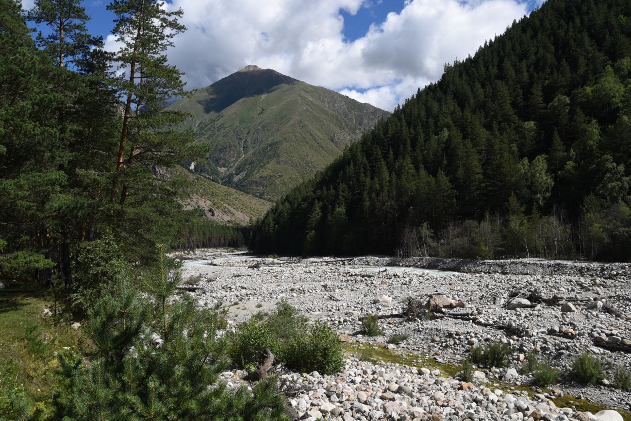 Нижнее течение Адылсу, image of landscape/habitat.