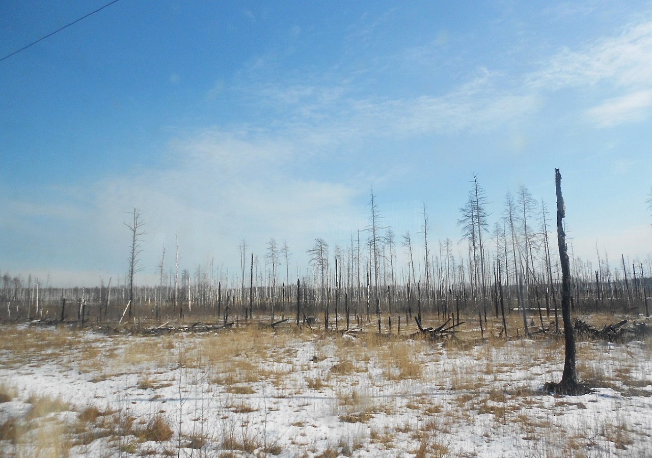 Электрогорск и его окрестности, image of landscape/habitat.