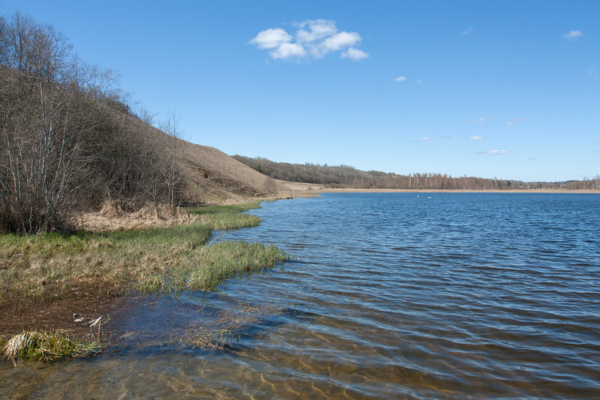 Изборско-Мальская долина, image of landscape/habitat.