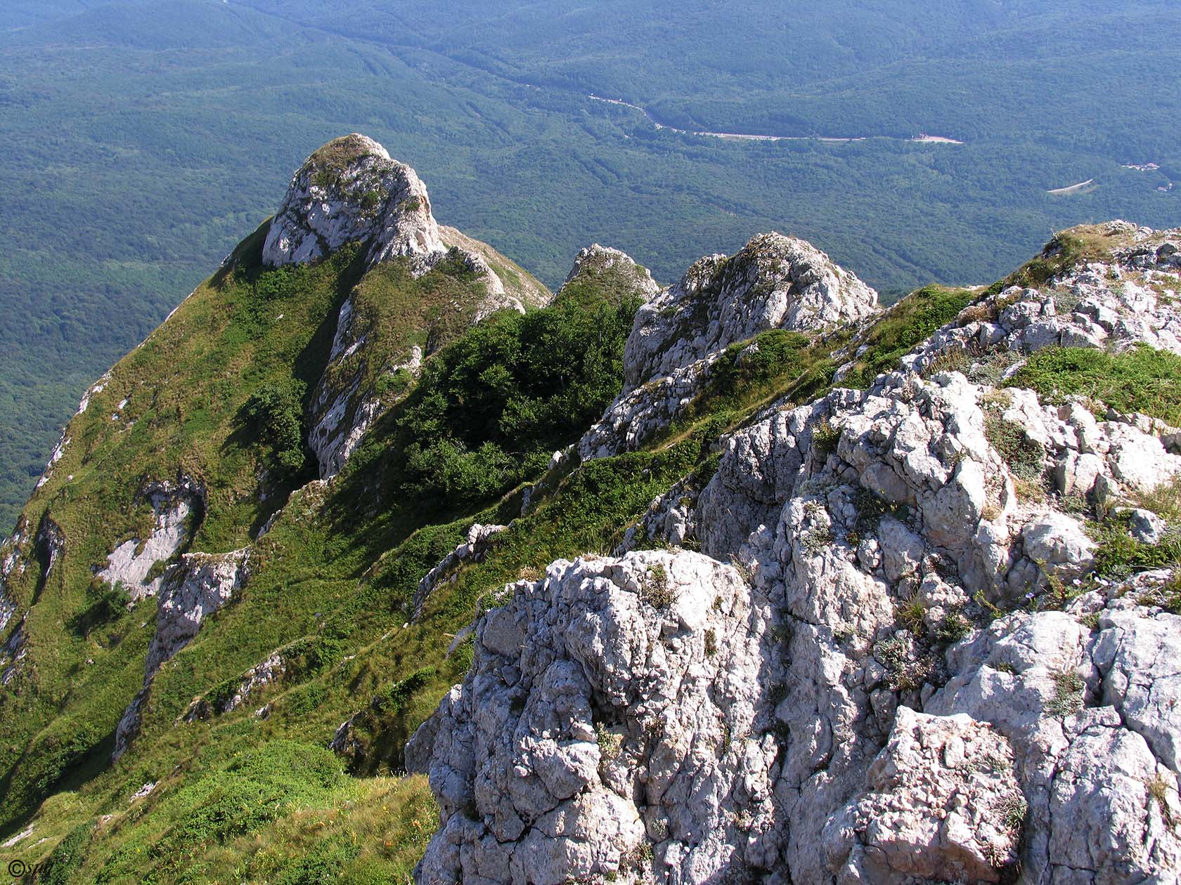 Чатырдаг, image of landscape/habitat.