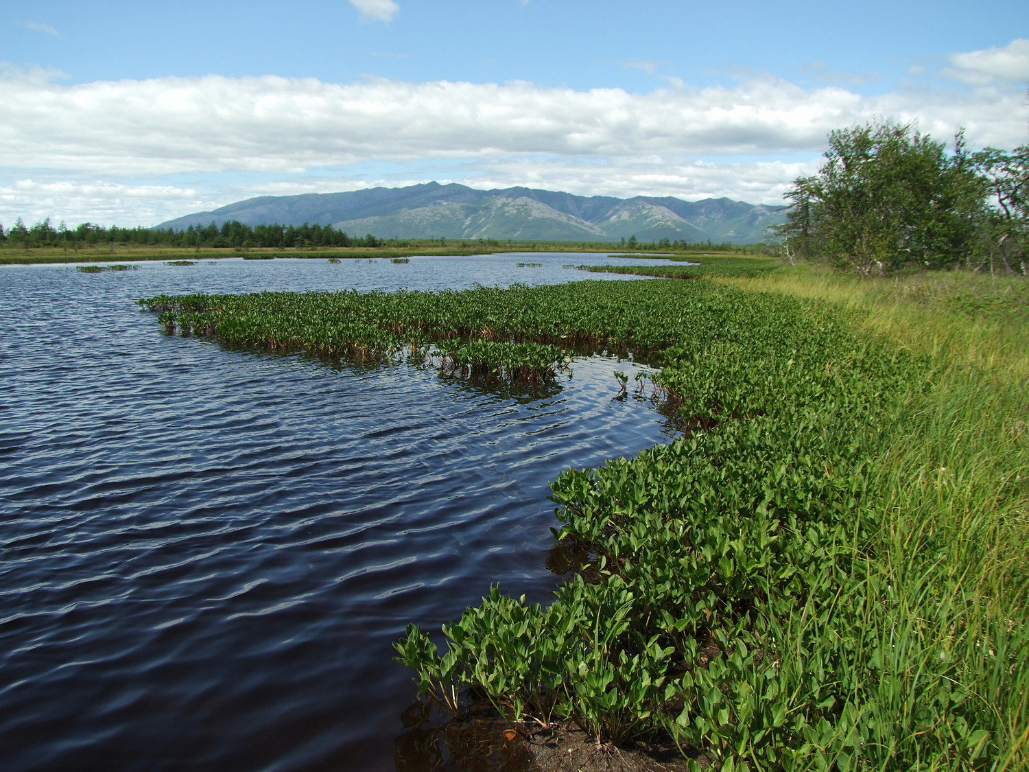 Глухое, image of landscape/habitat.