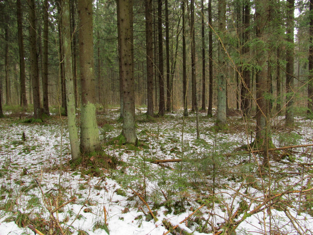 Ботаровка, image of landscape/habitat.
