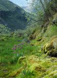 Image of landscape