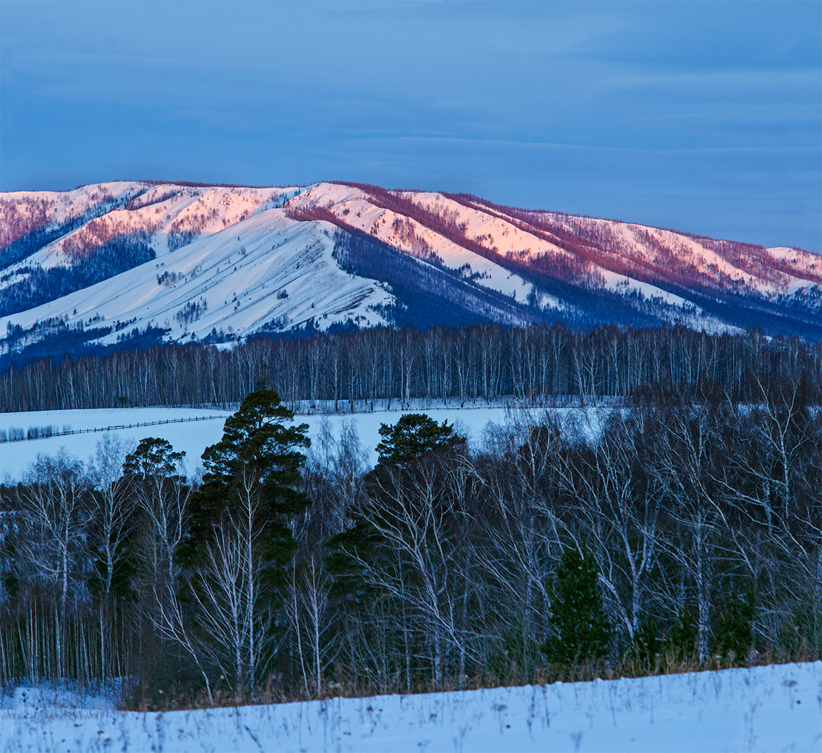 Окрестности села Рысакаево, image of landscape/habitat.