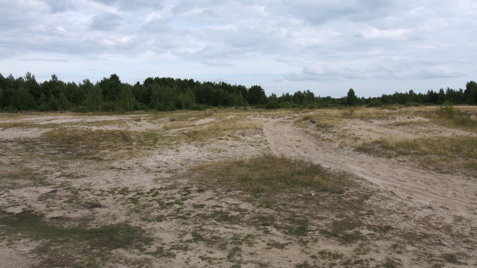 Спицино, image of landscape/habitat.