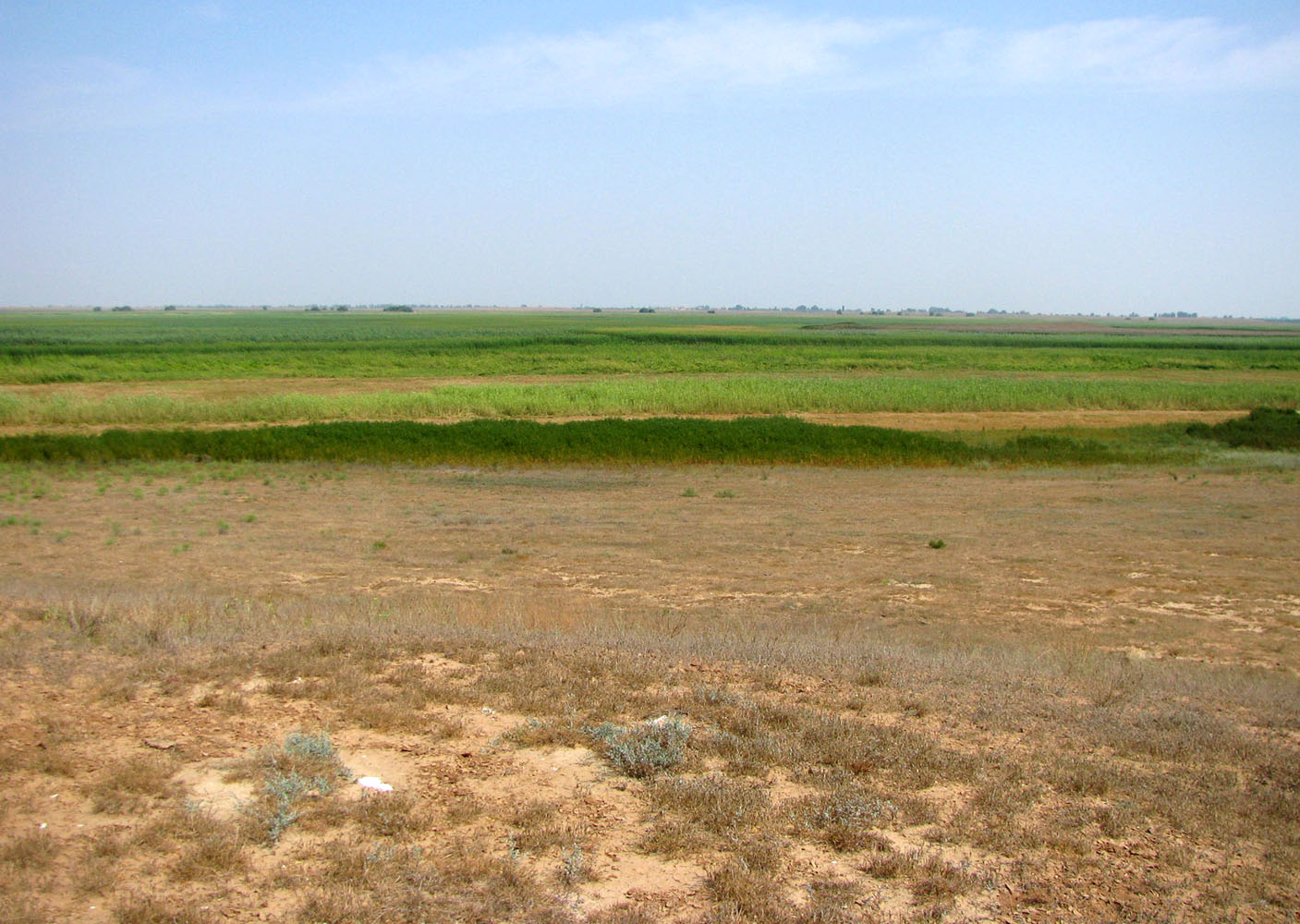 Бузан, image of landscape/habitat.