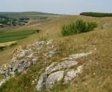 Image of landscape