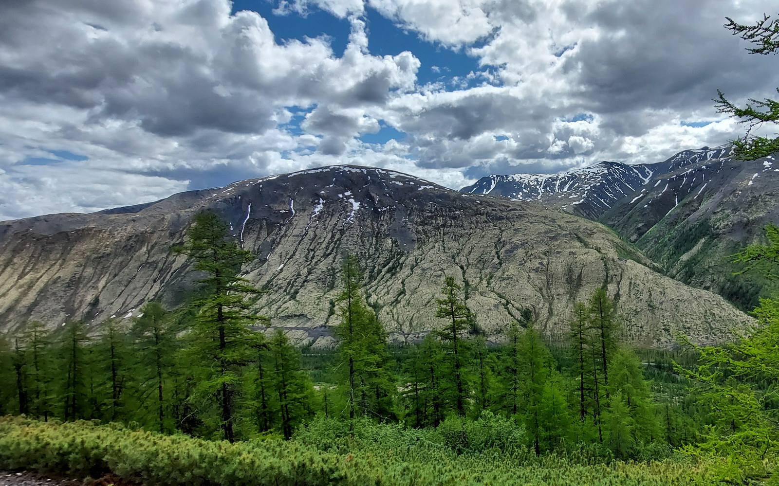Сунтар-Хаята, image of landscape/habitat.