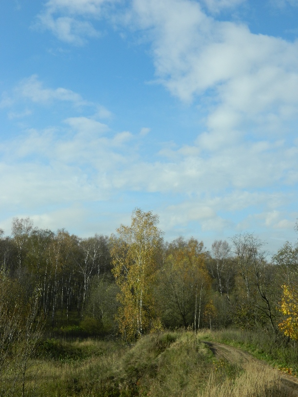 Окрестности города Одинцово, image of landscape/habitat.