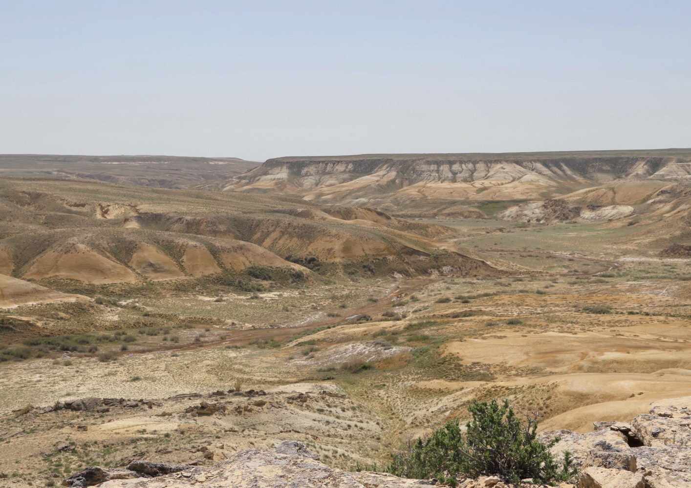 Западный чинк плато Устюрт, image of landscape/habitat.