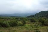 Image of landscape