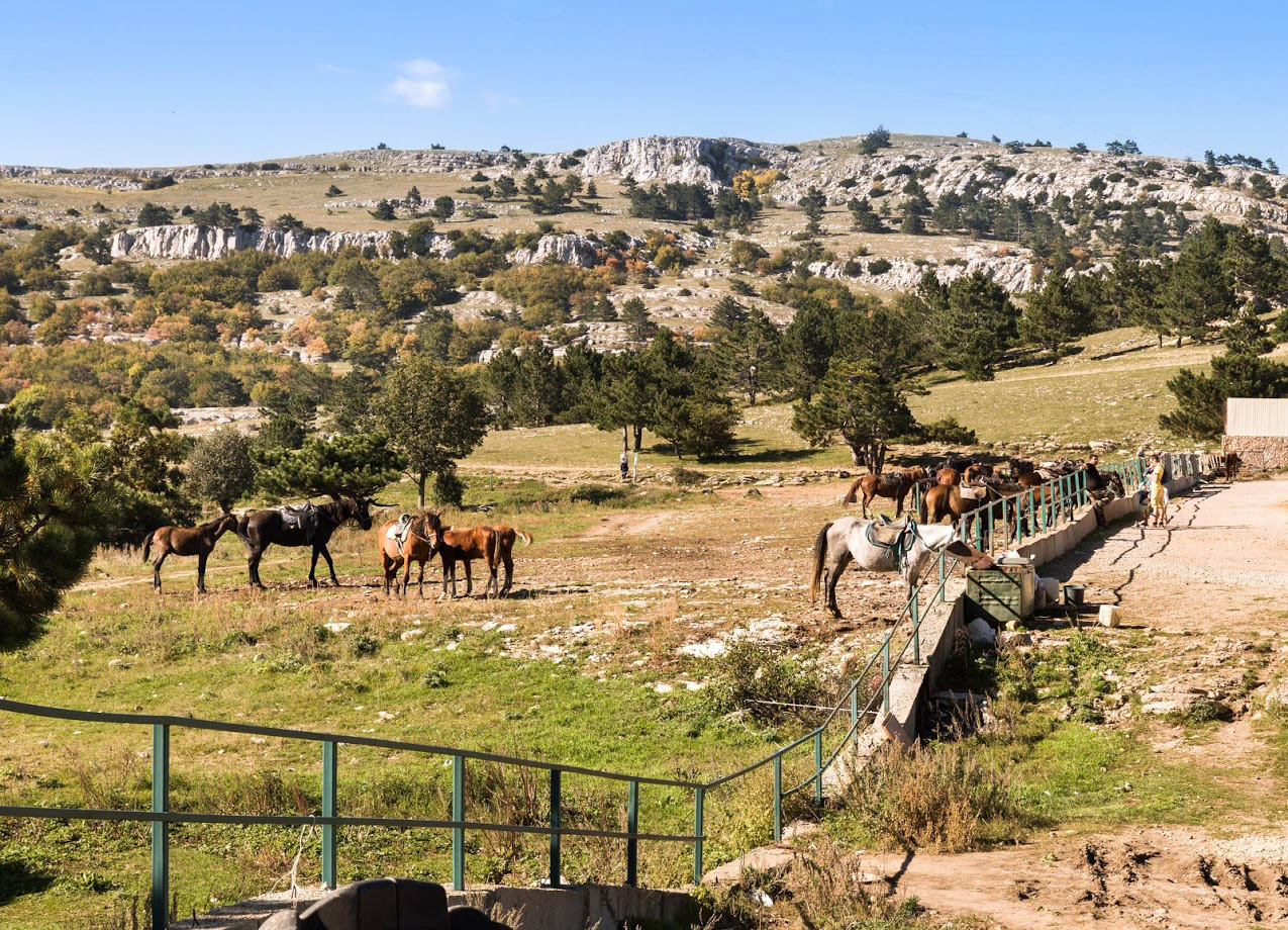 Ай-Петринская яйла, image of landscape/habitat.