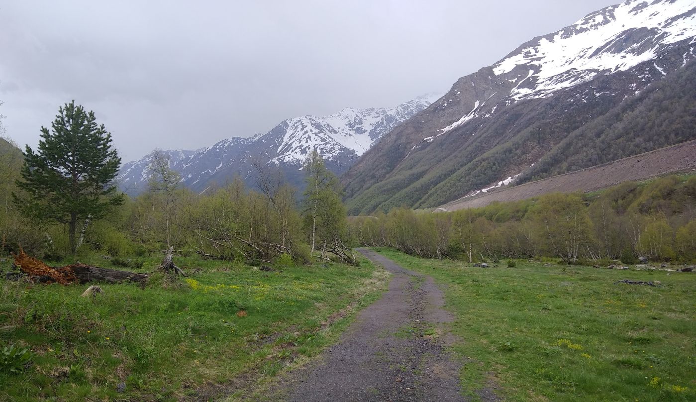 Долина реки Азау, image of landscape/habitat.