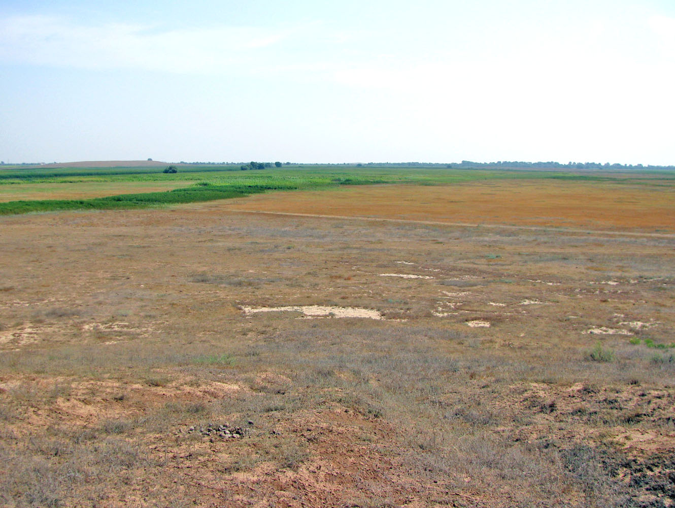 Бузан, image of landscape/habitat.