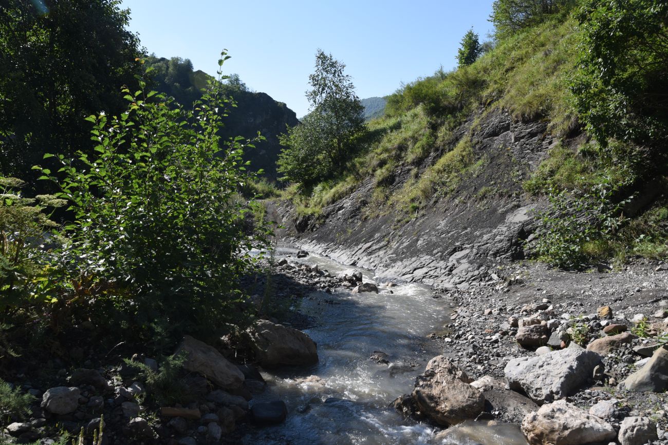 Окрестности водопада Цеси, image of landscape/habitat.