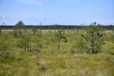 Image of landscape