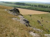 Image of landscape