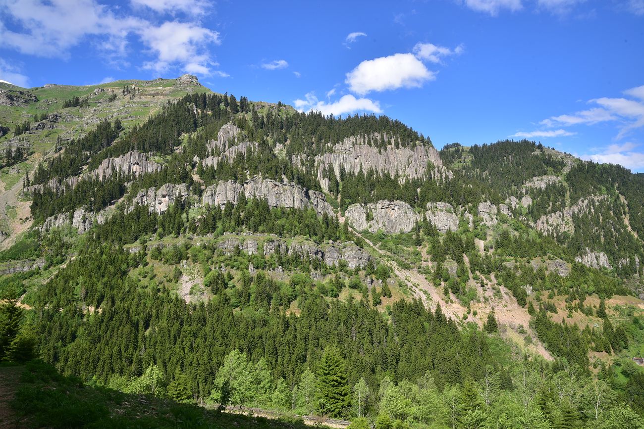 Сырт, image of landscape/habitat.