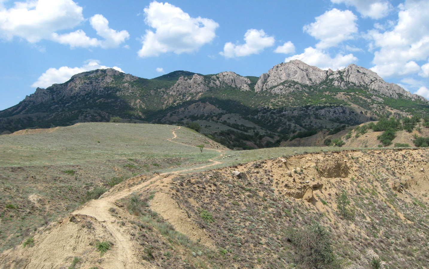 Лисья бухта, image of landscape/habitat.